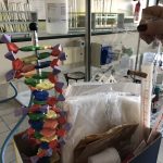 Open day al “De Pace”, dalla creazione dei cosmetici all’audio-video: tutto quello che chiede il mondo del lavoro - Corriere Salentino