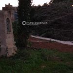 Il maestrale sferza il Salento: abbattuti pali, alberi e cartelloni stradali - Corriere Salentino