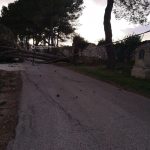 Il maestrale sferza il Salento: abbattuti pali, alberi e cartelloni stradali - Corriere Salentino