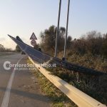 Il maestrale sferza il Salento: abbattuti pali, alberi e cartelloni stradali - Corriere Salentino