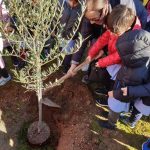 Nardò e Veglie, i pensionati della Cgil e gli alunni delle elementari piantano ulivi nelle scuole - Corriere Salentino