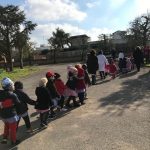 Nardò e Veglie, i pensionati della Cgil e gli alunni delle elementari piantano ulivi nelle scuole - Corriere Salentino