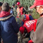 Nardò e Veglie, i pensionati della Cgil e gli alunni delle elementari piantano ulivi nelle scuole - Corriere Salentino