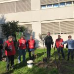 Nardò e Veglie, i pensionati della Cgil e gli alunni delle elementari piantano ulivi nelle scuole - Corriere Salentino