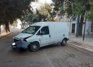 Sbatte contro un albero, paura in mattinata sul viale della villa: rimosso l’arbusto “pericolante”