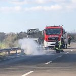Fiamme e paura sulla 274, auto prende fuoco in movimento: salvo il conducente, mezzo distrutto - Corriere Salentino