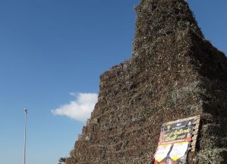 83 anni di tradizione e devozione: si accende la Fòcara di Porto Cesareo