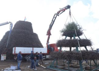 Dalla Fòcara di Novoli un augurio per i contadini colpiti dalla Xylella: rami di ulivo in vetta al falò