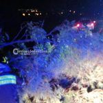 Il maestrale sferza il Salento: abbattuti pali, alberi e cartelloni stradali - Corriere Salentino