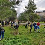 Plogging al quartiere Stadio con gli studenti: con il sindaco cinque classi del Deledda - Corriere Salentino