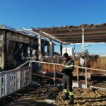 In fiamme il lido del fratello dell’ex assessore Martini, si sospetta l’atto doloso - Corriere Salentino