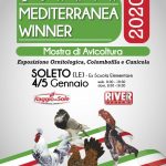 “Mediterranea Winner”, dal pollo più piccolo del mondo all’oca di 8 kg: tutte le perle del mondo avicolo a Soleto - Corriere Salentino