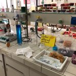 Open day al “De Pace”, dalla creazione dei cosmetici all’audio-video: tutto quello che chiede il mondo del lavoro - Corriere Salentino