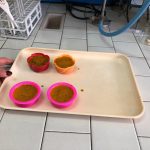 Open day al “De Pace”, dalla creazione dei cosmetici all’audio-video: tutto quello che chiede il mondo del lavoro - Corriere Salentino