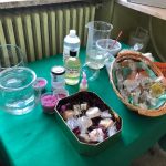 Open day al “De Pace”, dalla creazione dei cosmetici all’audio-video: tutto quello che chiede il mondo del lavoro - Corriere Salentino