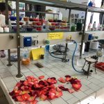 Open day al “De Pace”, dalla creazione dei cosmetici all’audio-video: tutto quello che chiede il mondo del lavoro - Corriere Salentino