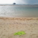 Peschereccio si incaglia a Torre Pali, rintracciati a terra 8 cittadini egiziani - Corriere Salentino