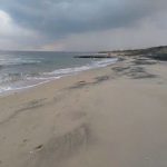 Dopo le mareggiate riemergono palizzate in legno e sacchi di rafia, denunciato l'ex titolare del lido - Corriere Salentino