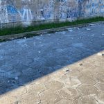 Petardi esplosi nei cestini di Parco Tafuro: caccia ai vandali di Capodanno - Corriere Salentino