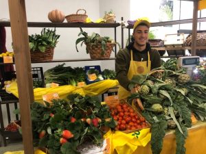Coldiretti: col caldo anomalo arrivano in anticipo fragole, zucchine, asparagi e fave - Corriere Salentino