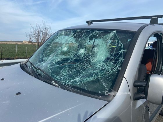 Guerriglia ultras sull’A16 tra leccesi e baresi: scatta l’obbligo di dimora per dodici tifosi - Corriere Salentino