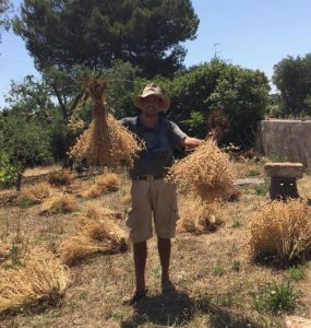 Semi locali contro monopolio delle multinazionali. Lezione sul campo a Castiglione d'Otranto - Corriere Salentino