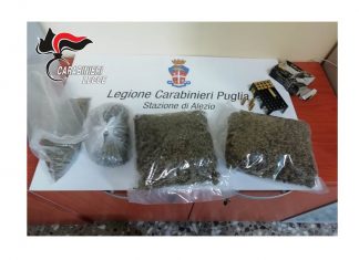 Dai rovi spuntano 820 grammi di marijuana e munizioni, indagini in corso