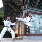 La Galatina Tkd del maestro Giuseppe Pizzolante traccia gli obiettivi del 2020 - Corriere Salentino