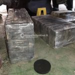 Equipaggio bloccato sul cargo della coca, si mobilita anche la Grimaldi: "Finalmente qualcuno si è svegliato" - Corriere Salentino