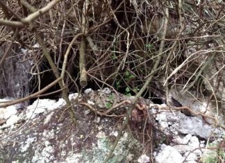 De Lorenzis: “L’ingresso della Grotta delle Ninfe e del Dio Pan è crollato chiediamo l’intervento dell’amministrazione comunale di Alliste Felline”