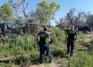 Guardie zoofile, il bilancio di un anno di controlli a tutela degli animali e dell’ambiente