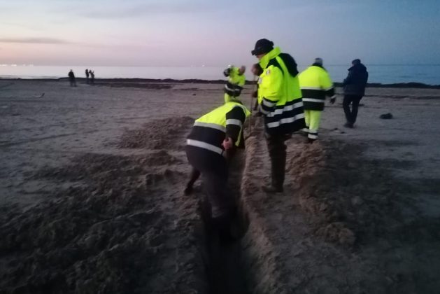 Paura a Torre Chianca, si chiude la foce del fiume che straripa: la protezione civile a lavoro - Corriere Salentino