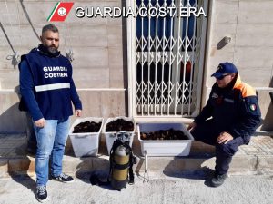 A pesca di ricci a largo di Leuca, ma ne cattura troppi: multa e sequestro - Corriere Salentino