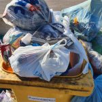 Gallipoli, lotta all'abbandono dei rifiuti: nuovi controlli e nuove sanzioni - Corriere Salentino