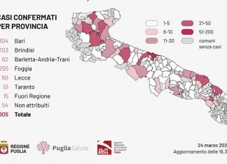 Cavallino, un contagio ufficiale: la protezione civile lo aveva scritto da giorni, sindaco avvisato solo oggi