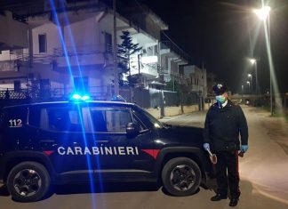 Sono 1456 gli irresponsabili denunciati in 10 giorni: c’è pure chi “va a lavorare” e porta il cane alla toeletta