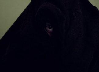 Il film della settimana: “Volevo nascondermi”