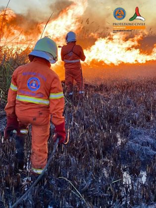 Brucia sfalci di potatura e distrugge 40 ettari agli Alimini. Fumo in casa, paura nel basso Salento - Corriere Salentino