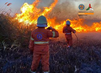 Brucia sfalci di potatura e distrugge 40 ettari agli Alimini. Fumo in casa, paura nel basso Salento