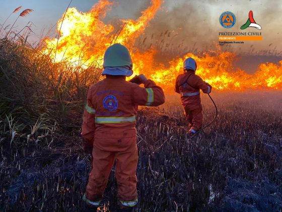Brucia sfalci di potatura e distrugge 40 ettari agli Alimini. Fumo in casa, paura nel basso Salento - Corriere Salentino