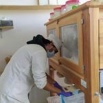 Il Mulino di comunità compie un anno: supportati 300 contadini, ora al via la spesa solidale - Corriere Salentino