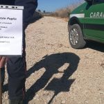 Nel Parco regionale spunta un sentiero fatto coi rifiuti, scattano sequestro e denunce - Corriere Salentino