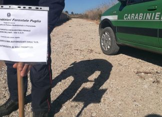 Nel Parco regionale spunta un sentiero fatto coi rifiuti, scattano sequestro e denunce