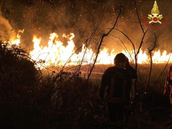 Brucia sfalci di potatura e distrugge 40 ettari agli Alimini. Fumo in casa, paura nel basso Salento - Corriere Salentino