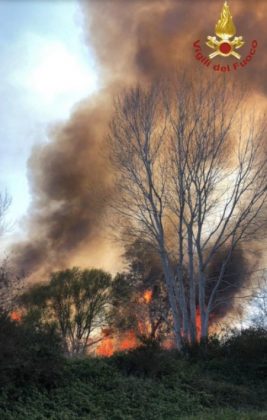 Brucia sfalci di potatura e distrugge 40 ettari agli Alimini. Fumo in casa, paura nel basso Salento - Corriere Salentino