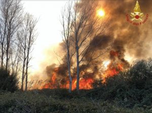 Brucia sfalci di potatura e distrugge 40 ettari agli Alimini. Fumo in casa, paura nel basso Salento - Corriere Salentino