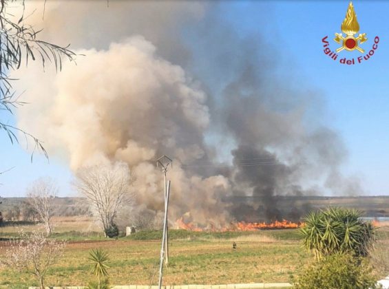 Brucia sfalci di potatura e distrugge 40 ettari agli Alimini. Fumo in casa, paura nel basso Salento - Corriere Salentino