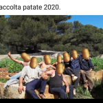 "Patatavirus", il monito di Coldiretti a braccianti e imprenditori: "Siate responsabili, è in gioco il futuro di tutti" - Corriere Salentino