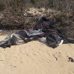 Torre Pali: il relitto arenato e abbandonato alla "Fanciulla", che continua ad inquinare - Corriere Salentino