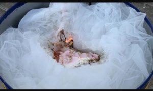 "Popolo del wedding abbandonato dallo Stato", stilista brucia per protesta gli abiti da sposa della sua collezione - Corriere Salentino